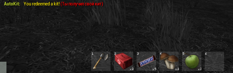 ingame.png