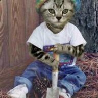 maksim