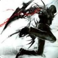 Shadow Assasin