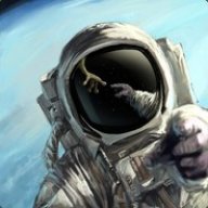 FOLLOW