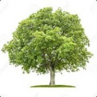 a tree