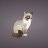tomasci