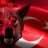 TürkişHunters